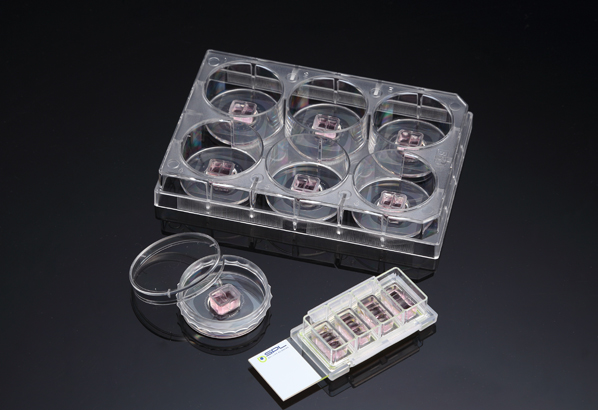 SPLScar™ Block and Scratcher, Individual, 2 block well, Sterile to SAL 10-6 201906 和更多型號 - 商品圖 3
